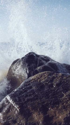 集成seo工具截图2