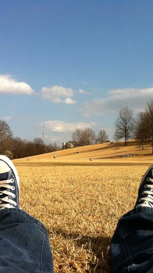 seo营销推广工具引流截图4