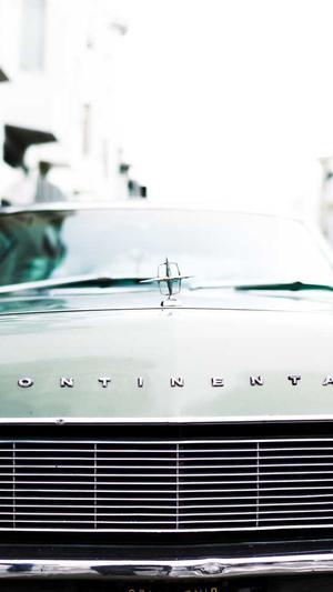 百度蜘蛛池原理图截图5