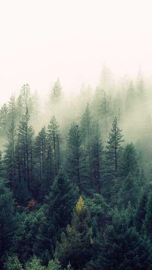 沈阳网站建设截图1