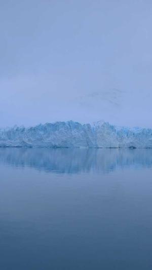 好的蜘蛛池有哪些品牌截图1