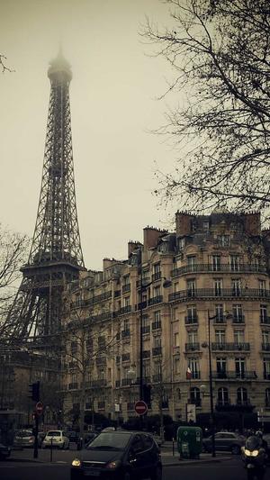 大侠seo工具截图4