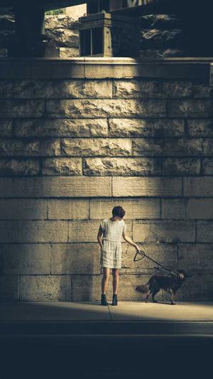 网站seo优化辅助工具截图1