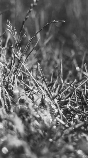 泛目录效果好吗截图3