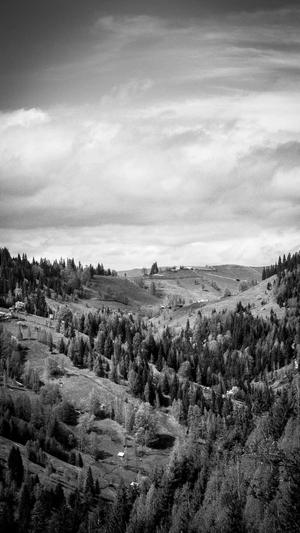 seo诊断工具截图1