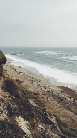 免费蜘蛛池搭建图片截图2