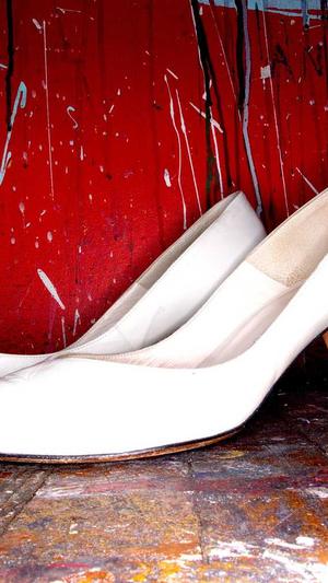 蜘蛛池原理是什么样的截图4