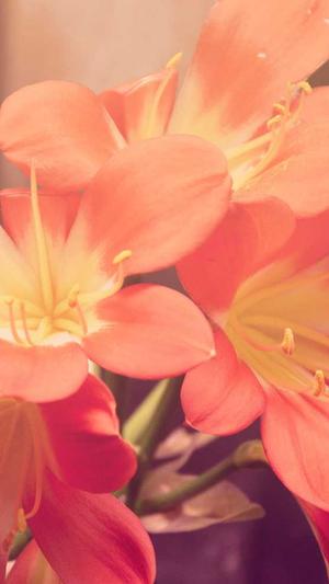 淄博 网站建设截图5