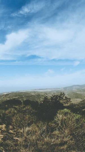 seo泛目录操作方法截图2