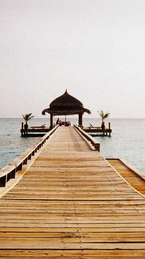 蜘蛛池可以提高收录么截图4