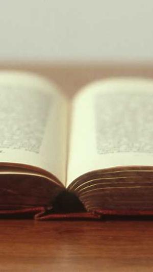 老铁蜘蛛池截图3