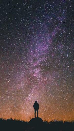 蜘蛛池程序测评截图2