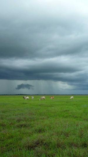 蜘蛛池引蜘蛛怎么处理截图4