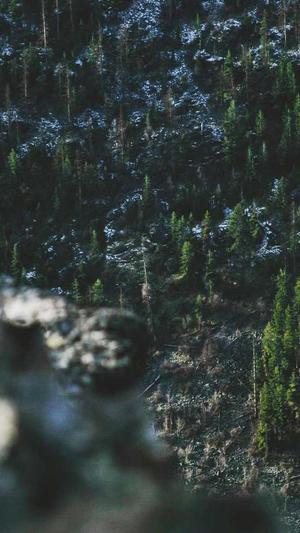 蜘蛛池日租200截图1