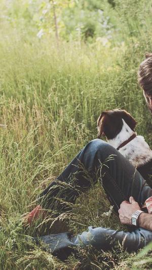 网站建设进度截图2