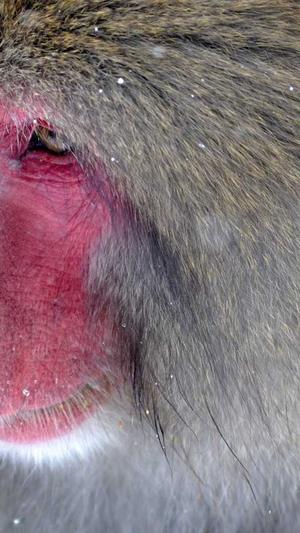 德网站建设截图2