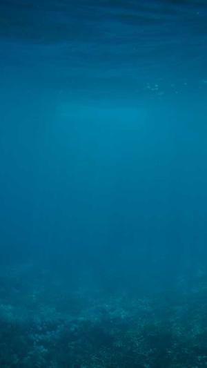 网站建设服务商截图2