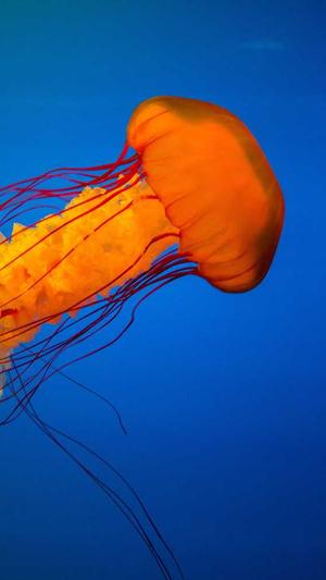 蜘蛛池日租截图3