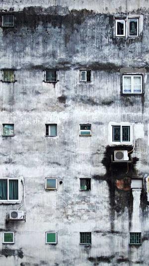 小旋风万能蜘蛛池x5截图3