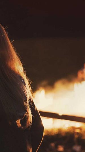 企业网站seo诊断工具截图2