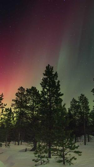 南昌市网站建设截图3