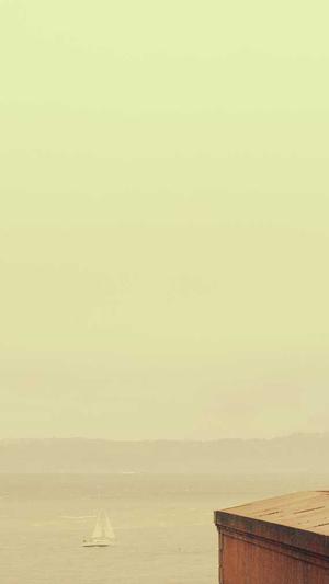 爱站seo工具截图4