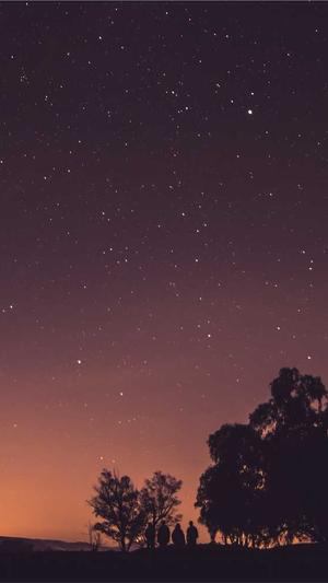 Seo诊断工具网站截图3