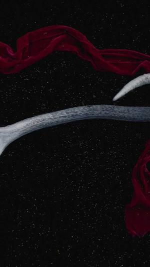 seo优化需要什么工具截图4