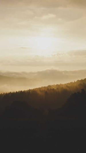 广西住房和建设厅网站截图4