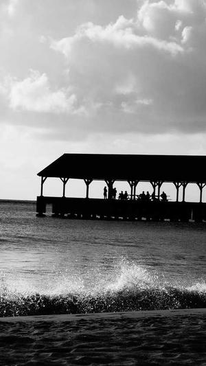 秒收录工具seo截图1