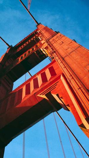 蜘蛛池的原理是什么截图4