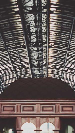 蜘蛛池日租截图2