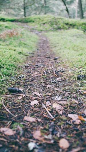 陕西蜘蛛池出租平台截图4