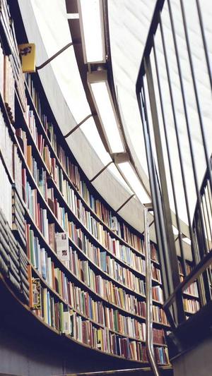 站长工具seo权重怎么看截图5