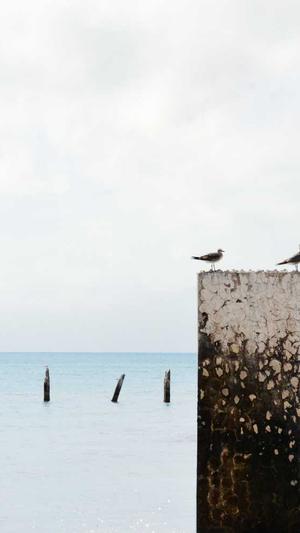 网站建设之婚礼摄影网站设计截图4