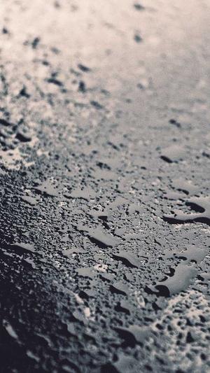 哈尔滨网站建设公司截图4