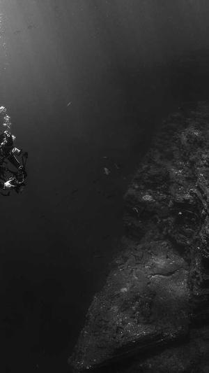 seo外链分析工具截图3