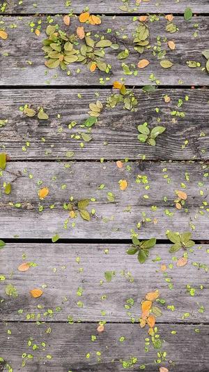 嘉兴seo优化截图3