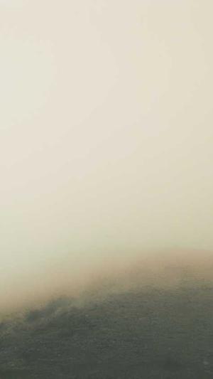 爱站seo工具包操作方法截图4