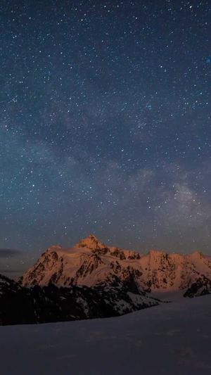 seo快速收录工具截图1