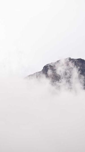 汕头网站建设推广截图4