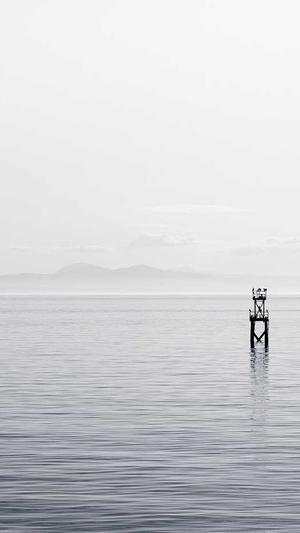 搜狗收录蜘蛛池排名截图1