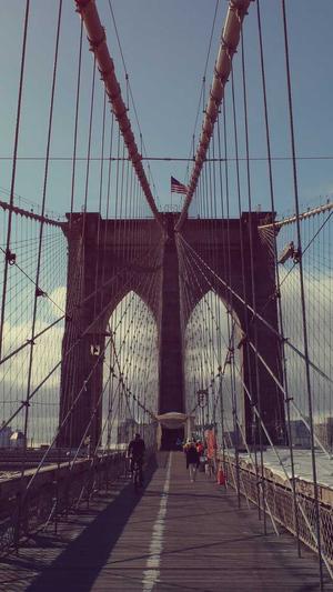 seo链接工具截图1