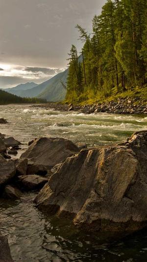 seo关键词优化工具截图2