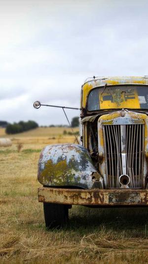 seo工具网址截图1