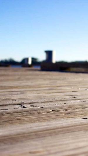 郑州网站seo优化工具截图4