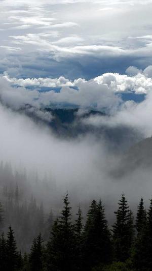 智能seo工具好落地截图3