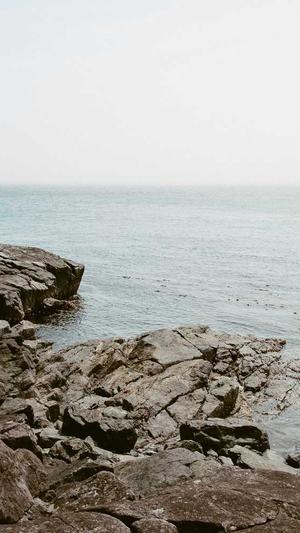 新站蜘蛛池测试截图4