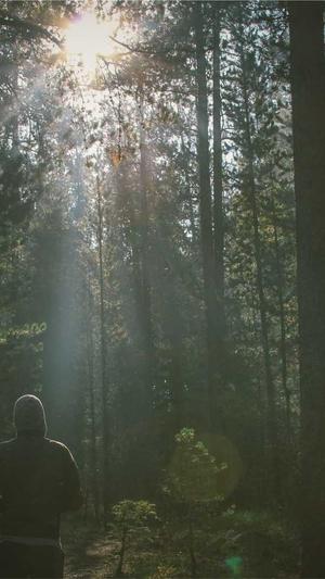 汕头网站建设推广截图1